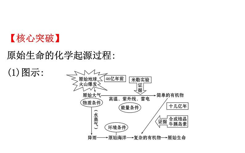 2021-2022学年人教版生物中考复习之生命起源和生物进化课件PPT08