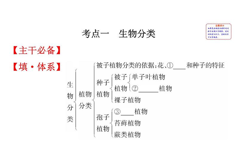 2021-2022学年人教版生物中考复习之生物的多样性及其保护课件PPT第2页