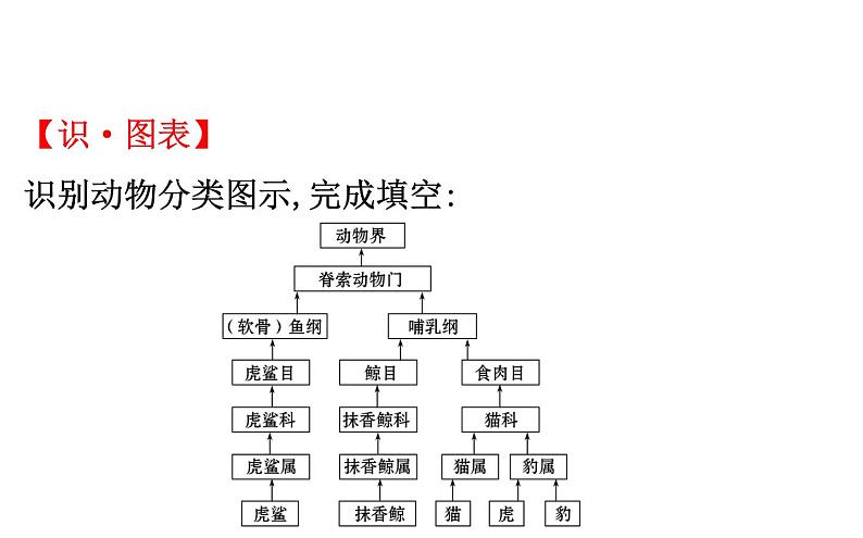 2021-2022学年人教版生物中考复习之生物的多样性及其保护课件PPT第4页