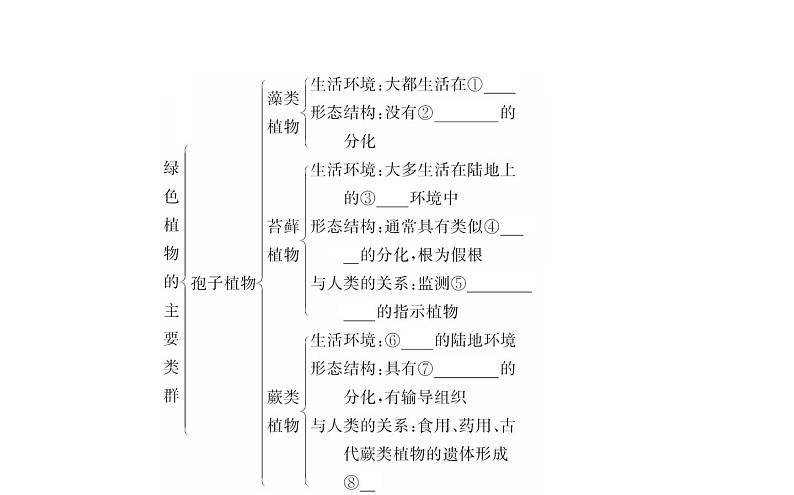 2021-2022学年人教版生物中考复习之生物圈中有哪些绿色植物课件PPT第3页