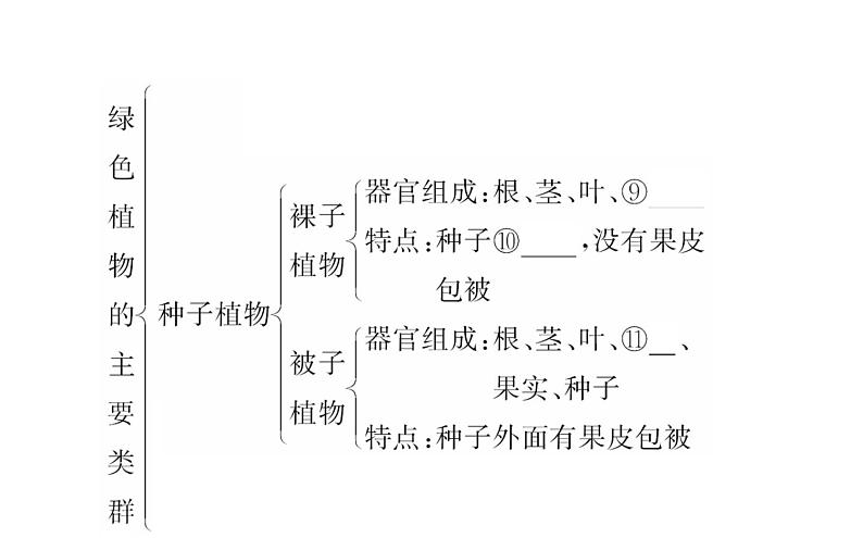 2021-2022学年人教版生物中考复习之生物圈中有哪些绿色植物课件PPT第4页