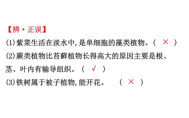 2021-2022学年人教版生物中考复习之生物圈中有哪些绿色植物课件PPT第6页