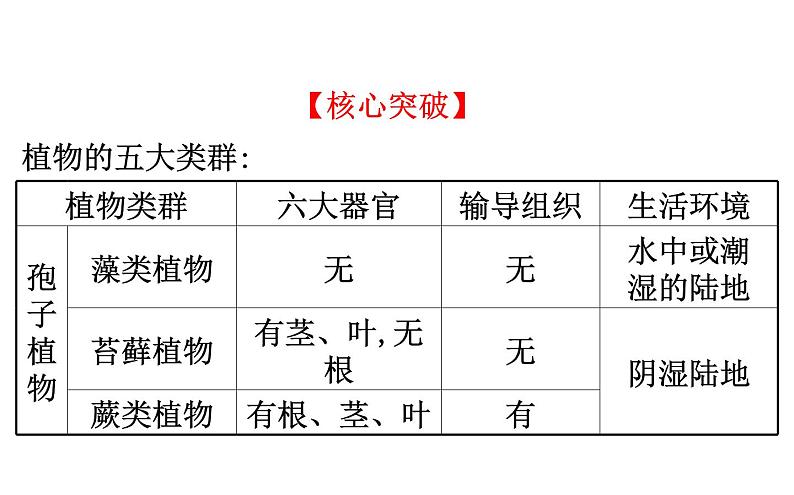 2021-2022学年人教版生物中考复习之生物圈中有哪些绿色植物课件PPT第7页