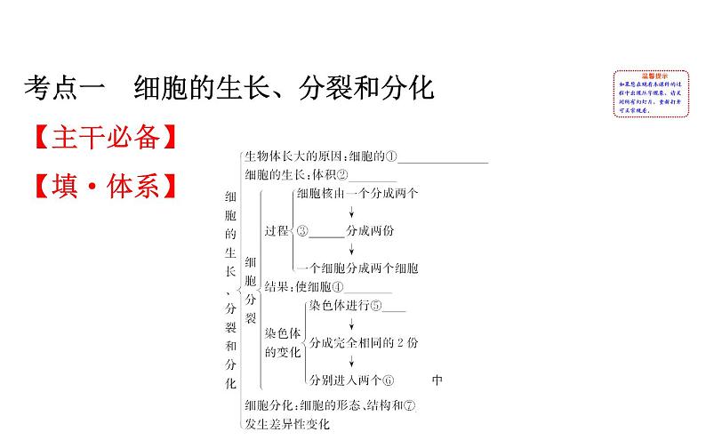 2021-2022学年人教版生物中考复习之细胞怎样构成生物体课件PPT02