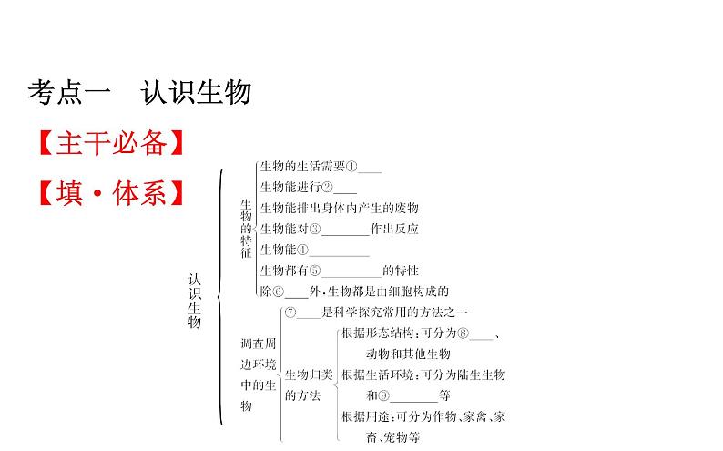 2021-2022学年人教版生物中考复习之生物和生物圈课件PPT第2页