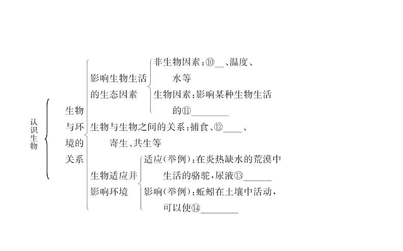 2021-2022学年人教版生物中考复习之生物和生物圈课件PPT第3页