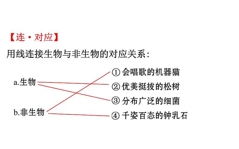 2021-2022学年人教版生物中考复习之生物和生物圈课件PPT第4页