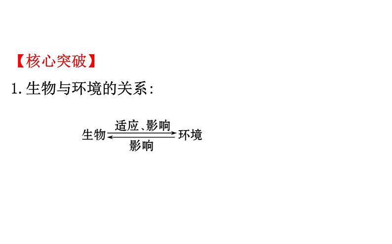 2021-2022学年人教版生物中考复习之生物和生物圈课件PPT第6页