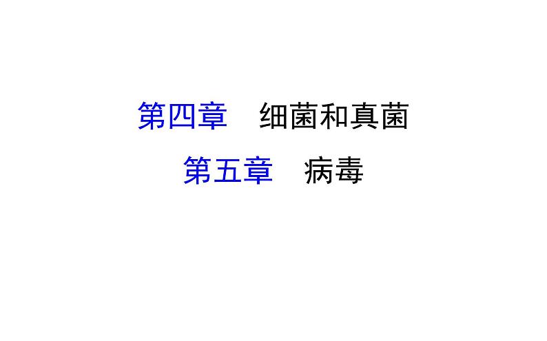 2021-2022学年人教版生物中考复习之细菌和真菌&5.5病毒课件PPT01