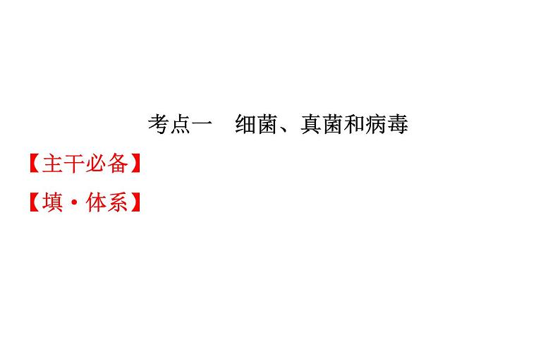 2021-2022学年人教版生物中考复习之细菌和真菌&5.5病毒课件PPT02