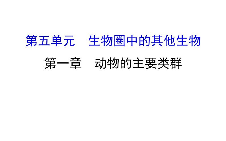 2021-2022学年人教版生物中考复习之动物的主要类群课件PPT01