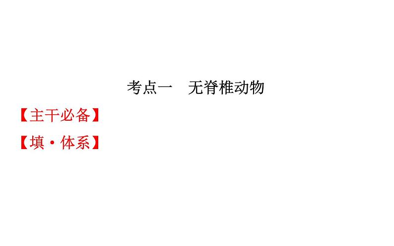 2021-2022学年人教版生物中考复习之动物的主要类群课件PPT02