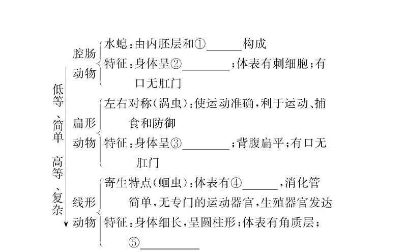 2021-2022学年人教版生物中考复习之动物的主要类群课件PPT03