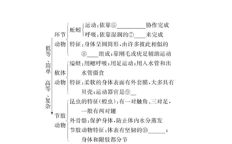 2021-2022学年人教版生物中考复习之动物的主要类群课件PPT04