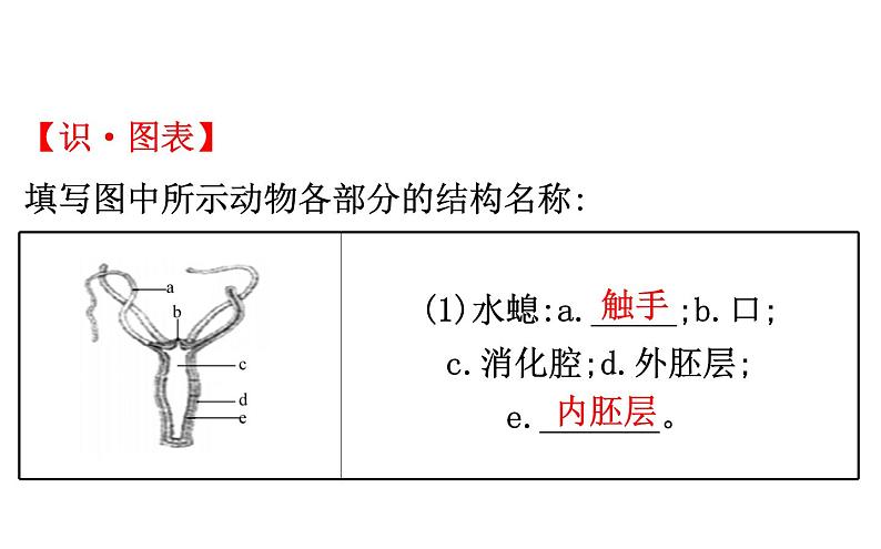 2021-2022学年人教版生物中考复习之动物的主要类群课件PPT05