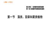 人教版七年级上册生物习题课件 第3单元 3.1.1 藻类、苔藓和厥类植物
