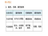 人教版七年级上册生物习题课件 第3单元 3.1.1 藻类、苔藓和厥类植物