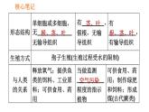 人教版七年级上册生物习题课件 第3单元 3.1.1 藻类、苔藓和厥类植物