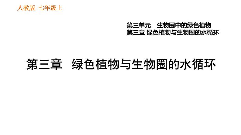 人教版七年级上册生物习题课件 第3单元 3.3 绿色植物与生物圈的水循环001