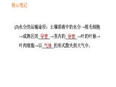 人教版七年级上册生物习题课件 第3单元 3.3 绿色植物与生物圈的水循环0
