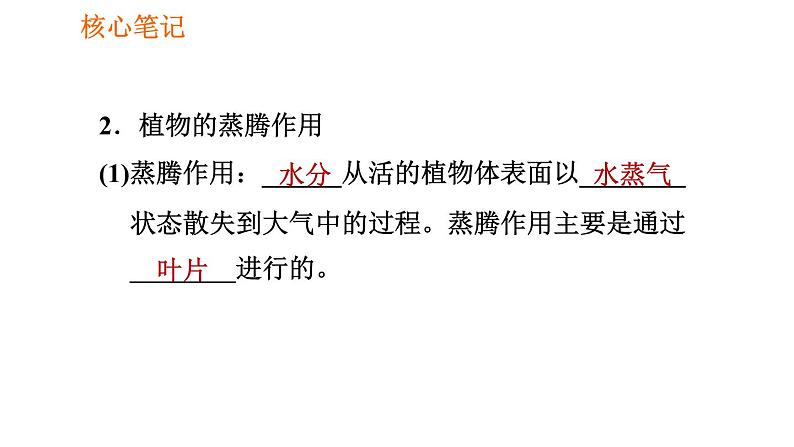 人教版七年级上册生物习题课件 第3单元 3.3 绿色植物与生物圈的水循环004