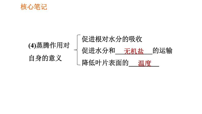 人教版七年级上册生物习题课件 第3单元 3.3 绿色植物与生物圈的水循环008