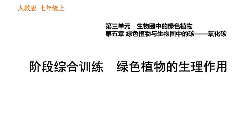 人教版七年级上册生物习题课件 第3单元 阶段综合训练　绿色植物的生理作用01