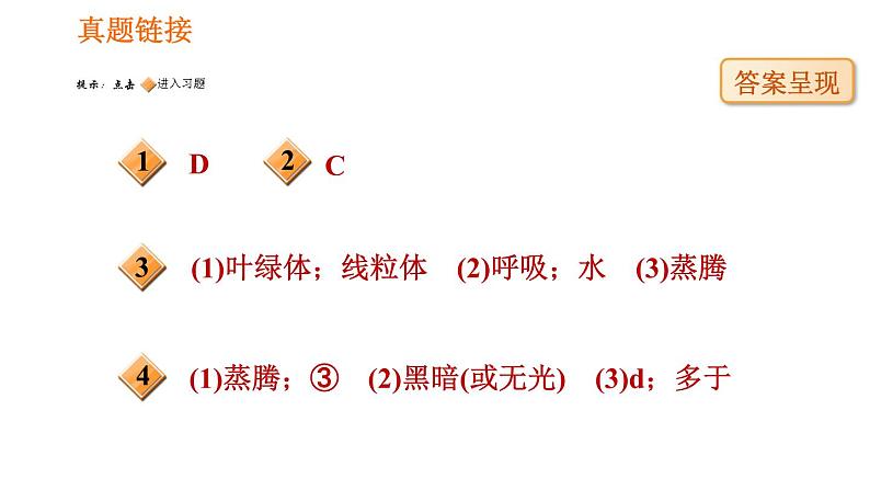 人教版七年级上册生物习题课件 第3单元 阶段综合训练　绿色植物的生理作用02