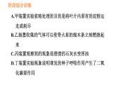 人教版七年级上册生物习题课件 第3单元 阶段综合训练　绿色植物的生理作用