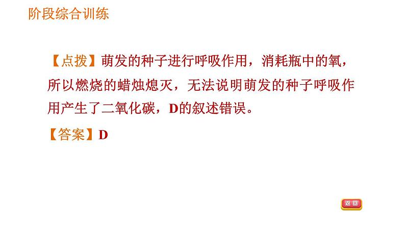 人教版七年级上册生物习题课件 第3单元 阶段综合训练　绿色植物的生理作用05