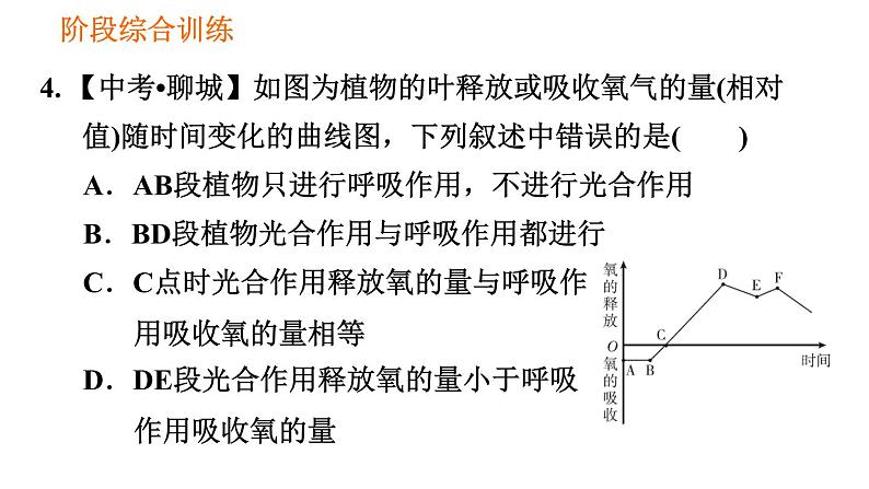 人教版七年级上册生物习题课件 第3单元 识图学生物(二)008