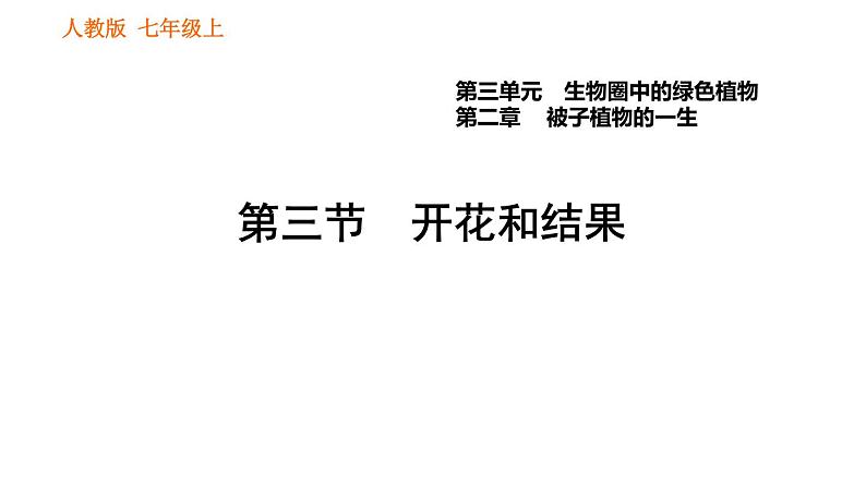 人教版七年级上册生物习题课件 第3单元 3.2.3 开花和结果001