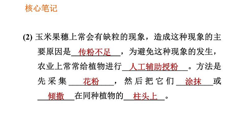 人教版七年级上册生物习题课件 第3单元 3.2.3 开花和结果008