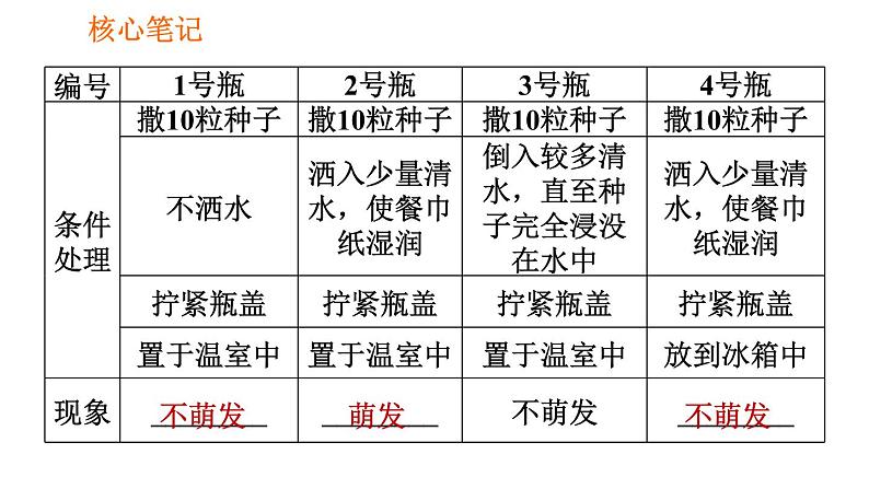 人教版七年级上册生物习题课件 第3单元 3.2.1.1 种子萌发的条件0第3页