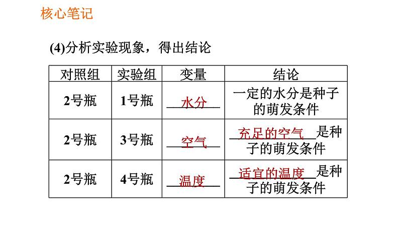 人教版七年级上册生物习题课件 第3单元 3.2.1.1 种子萌发的条件0第4页