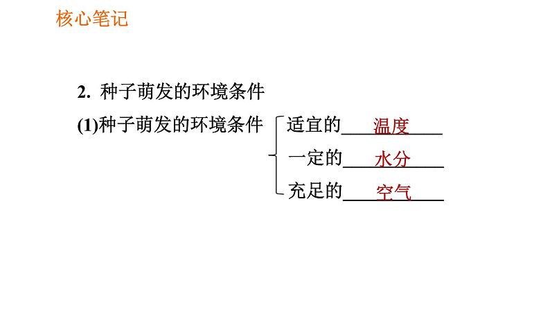 人教版七年级上册生物习题课件 第3单元 3.2.1.1 种子萌发的条件0第5页