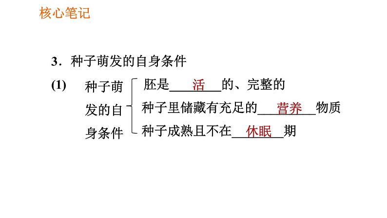 人教版七年级上册生物习题课件 第3单元 3.2.1.1 种子萌发的条件0第7页