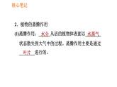 人教版七年级上册生物习题课件 第3单元 3.3 绿色植物与生物圈的水循环