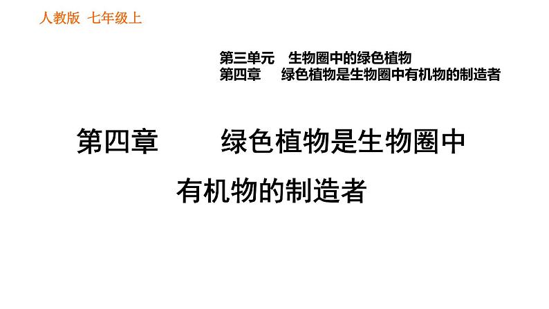 人教版七年级上册生物习题课件 第3单元 3.4 绿色植物是生物圈中有机物的制造者001