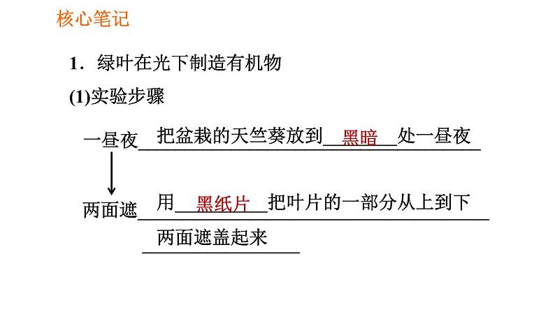 人教版七年级上册生物习题课件 第3单元 3.4 绿色植物是生物圈中有机物的制造者002