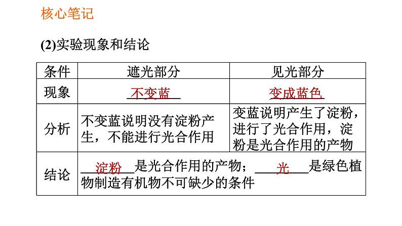 人教版七年级上册生物习题课件 第3单元 3.4 绿色植物是生物圈中有机物的制造者005