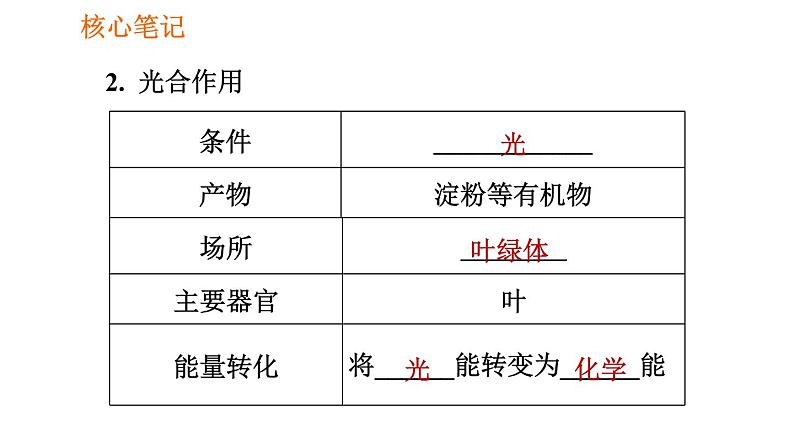 人教版七年级上册生物习题课件 第3单元 3.4 绿色植物是生物圈中有机物的制造者006