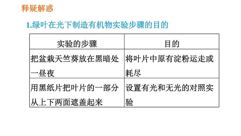 人教版七年级上册生物习题课件 第3单元 3.4 绿色植物是生物圈中有机物的制造者008