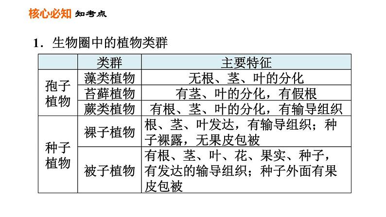 人教版七年级上册生物习题课件 第3单元 第一、二章巩固强化复习训练003