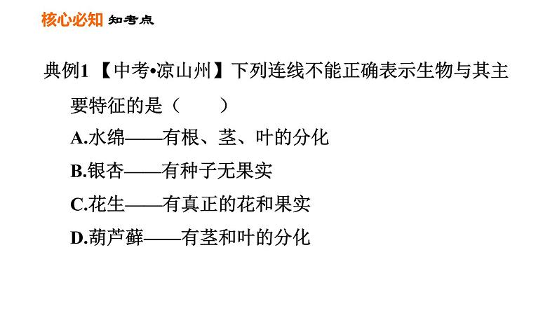 人教版七年级上册生物习题课件 第3单元 第一、二章巩固强化复习训练004