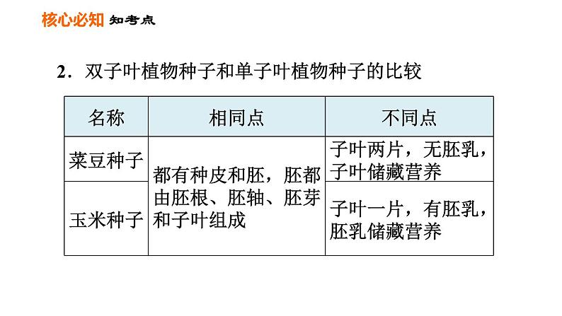 人教版七年级上册生物习题课件 第3单元 第一、二章巩固强化复习训练006