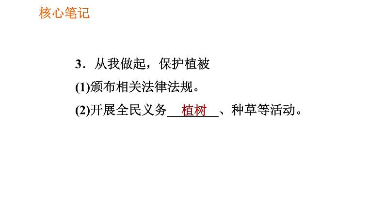 人教版七年级上册生物习题课件 第3单元 3.6 爱护植被，绿化祖国07