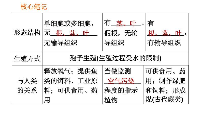 人教版七年级上册生物习题课件 第3单元 3.1.1 藻类、苔藓和厥类植物004