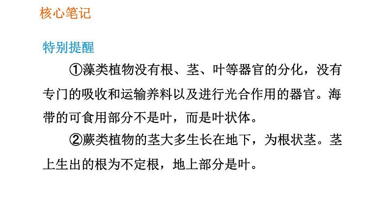 人教版七年级上册生物习题课件 第3单元 3.1.1 藻类、苔藓和厥类植物005