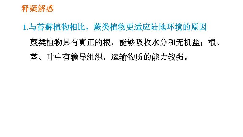 人教版七年级上册生物习题课件 第3单元 3.1.1 藻类、苔藓和厥类植物006